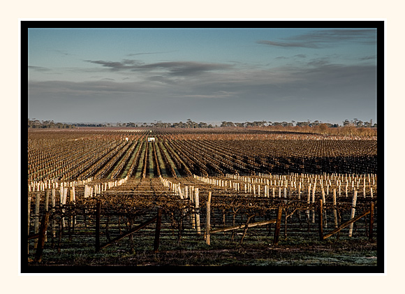 Winter Wine Land South Eastern Australia