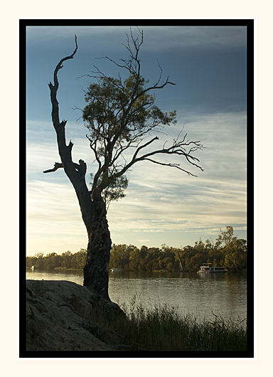 Early Morning On The Murray