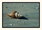 Washed Up