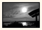 Day or Night