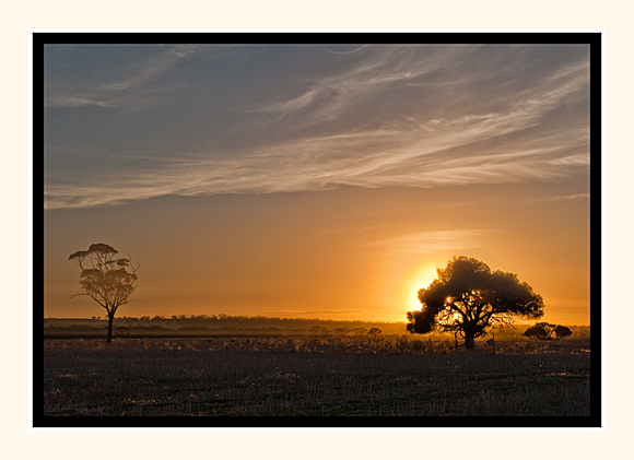 A Misty Sunrise