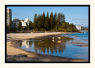 The Morning Start Rainbow Bay