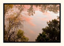 Painted Reflection