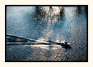 Skiing Through The Light