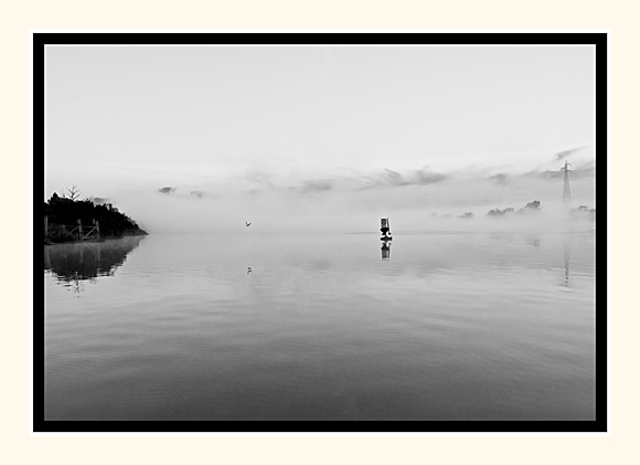 Man And Nature Under Fog