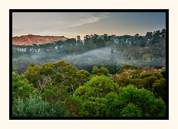 Mist Through The Valley