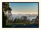 Foggy Mount Gambier