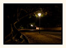 Lighting The Way