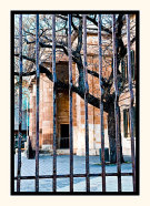 Behind Bars