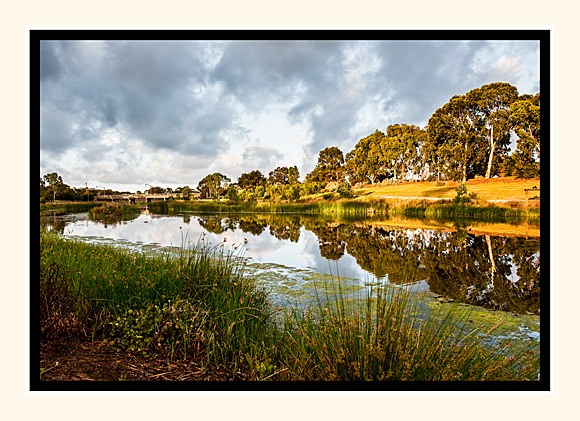 Wetlands Morning