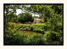 Botanical Splendor