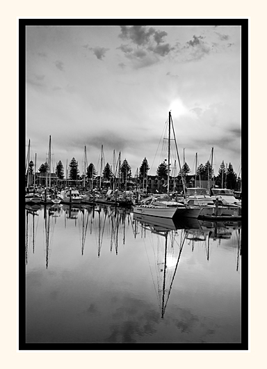 Grey Morning