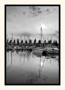 Grey Morning