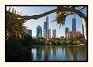 Partnership Of Nature and Highrise
