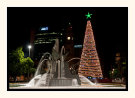 Christmas Beauty in the Square