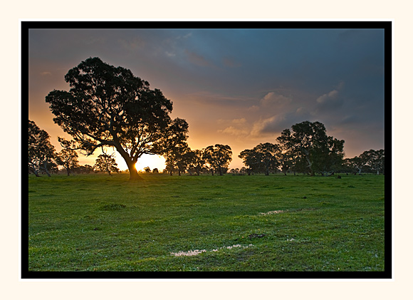 Winter Sunset Near Penola