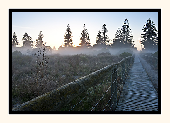 Cold Morning Walk