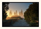 Early Morning, Taperoo