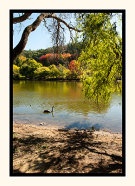 Touches Of Autumn