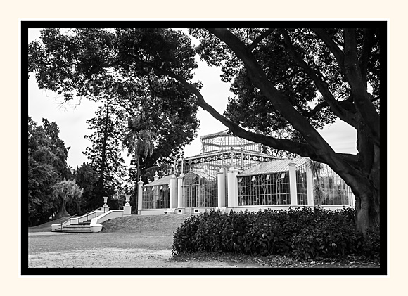 The Magnificent Palm house