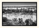 Overcast Morning, Waikerie