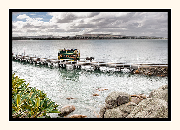 Crossing The Causeway