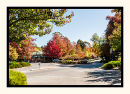 Stirling Autumn
