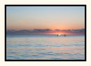 Halcyon Paddling