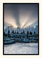 The Sunrays Portrait