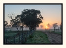 Foggy Sunrise