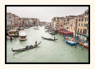 Venice Alive