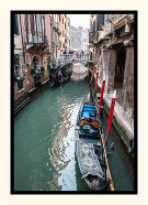The Beauty of Venice