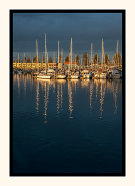 Golden Marina