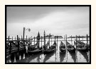 Highlighting Bacino di San Marco