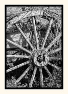 Wheel of Age