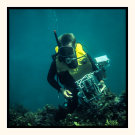 1970's Underwater Photographer