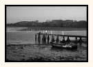 Low Tide
