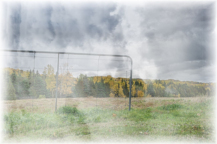 "Early Autumn Fog"