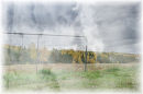 "Early Autumn Fog"