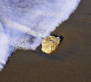 "Ocean and Rock"