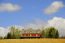 “Red House”