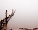 "Misty Fish Net"