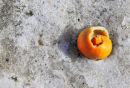 "Frozen peel"