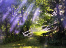 "Rays of Sunshine"