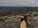 "Sitting on top of my world"