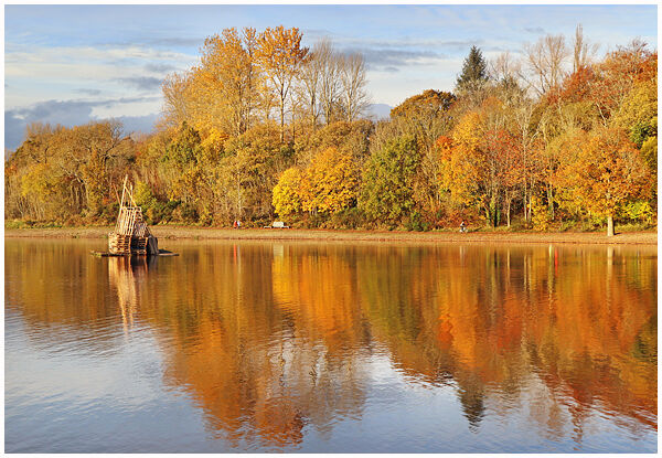 Autumn Colours