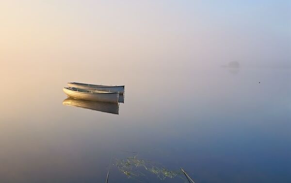 Catching the Dawn Light