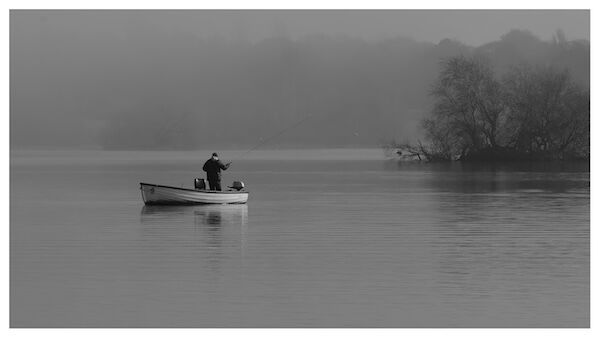 Fishing in the Mist