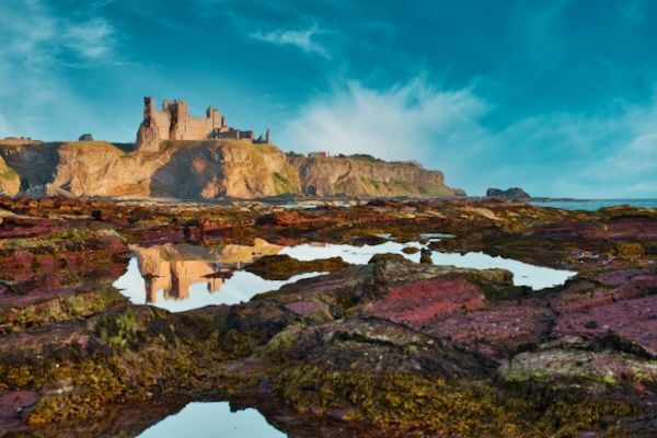 Shoreline Fortress