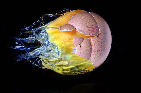 Rocket Egg
